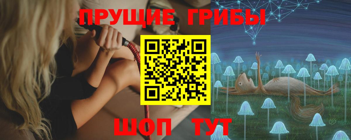 Галлюциногенные грибы Cubensis  Вход с VPN  Кудрово 